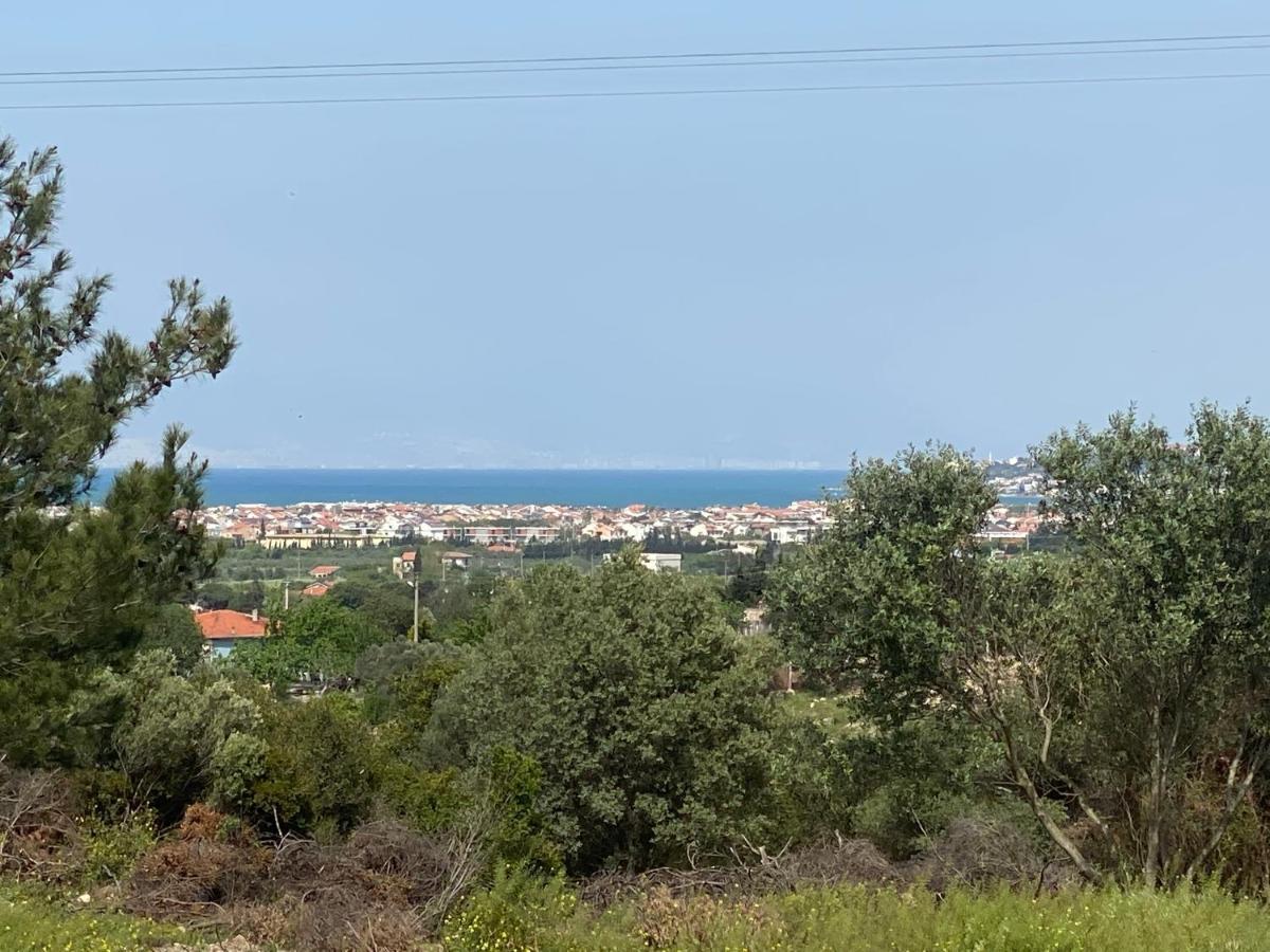 Nefes Urla Bungalov 3 外观 照片