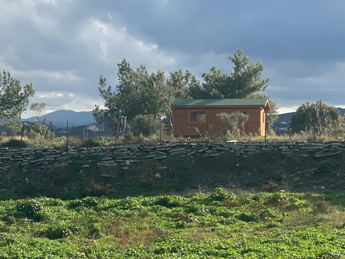 Nefes Urla Bungalov 3 外观 照片